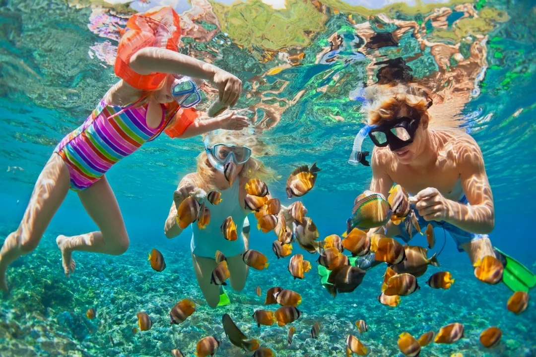 Destinations-Snorkelling