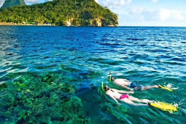 IMG_20231218_164501_054