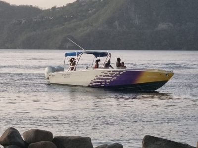 d8655b3e-144a-49f5-9cee-ce7120f69fc7